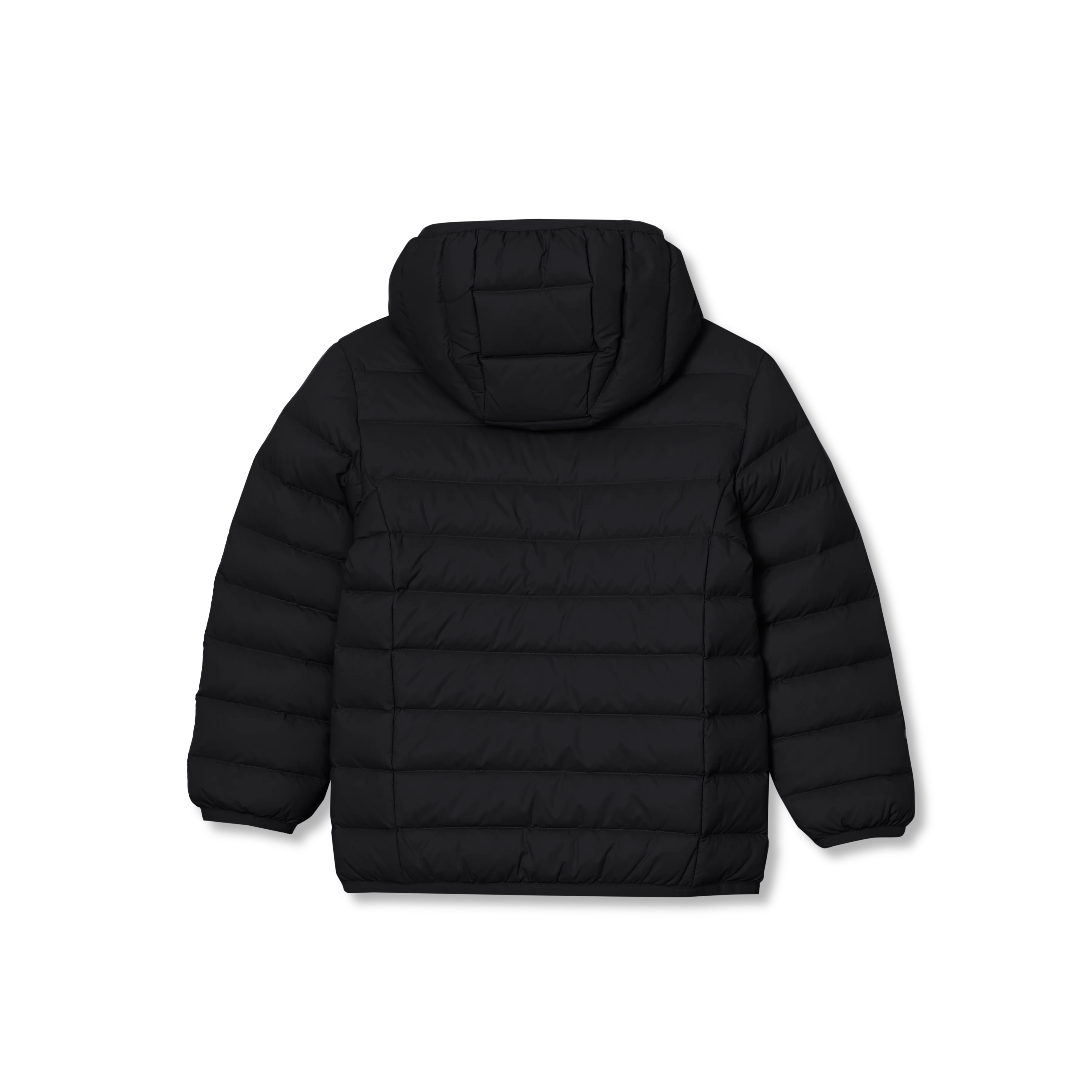 Toddler CirrusLite Down Hooded Jacket