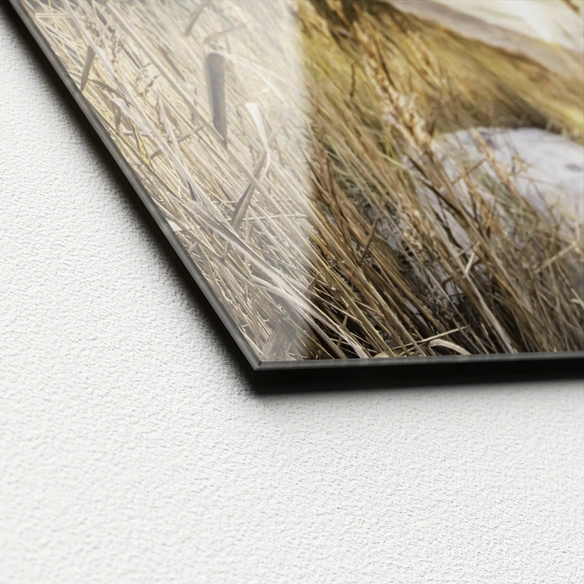 Glasbild »Wilder Strand III«, mehrfarbig, Digitaldruck