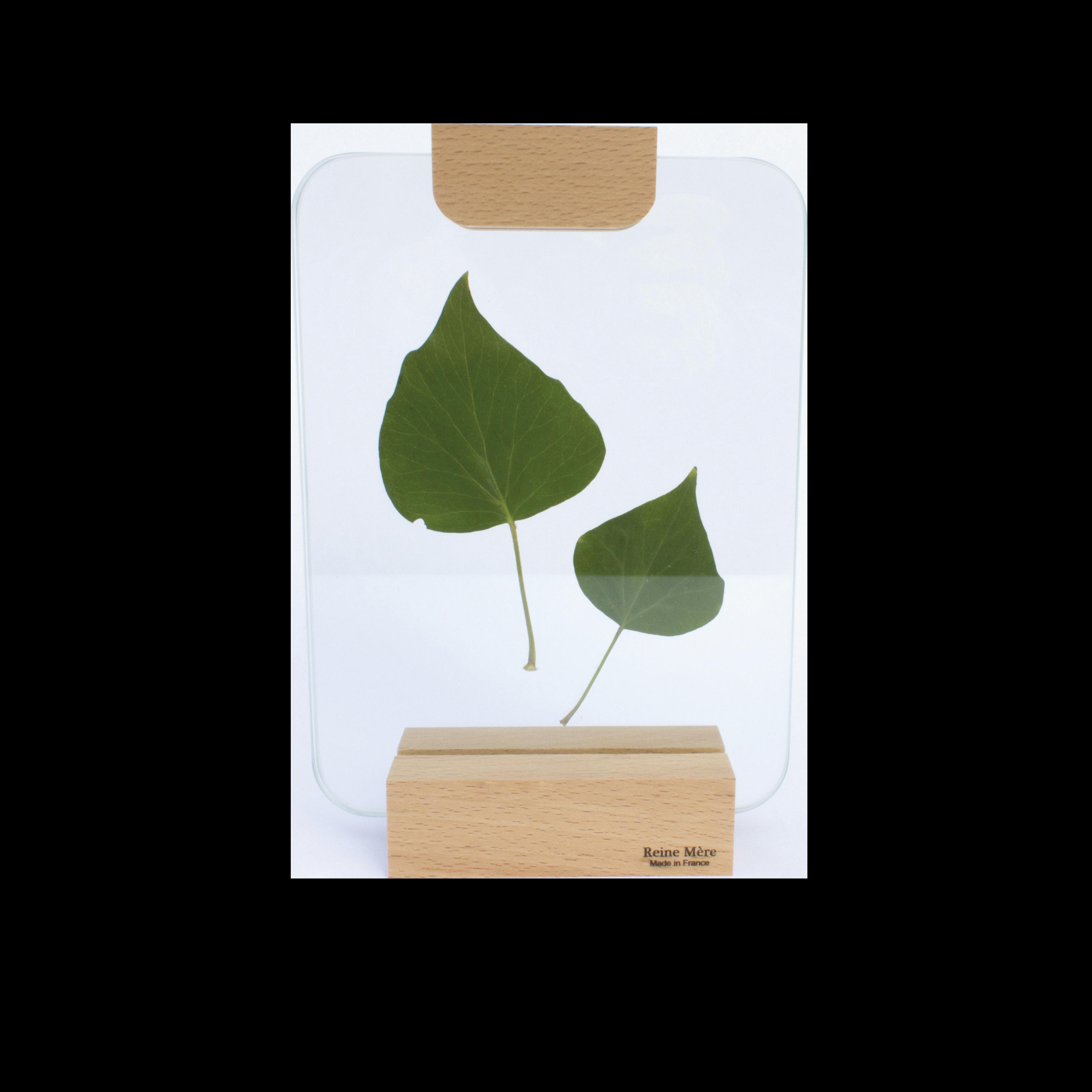 VERRIERE - Porte photo verrière pince bois 21x15cm