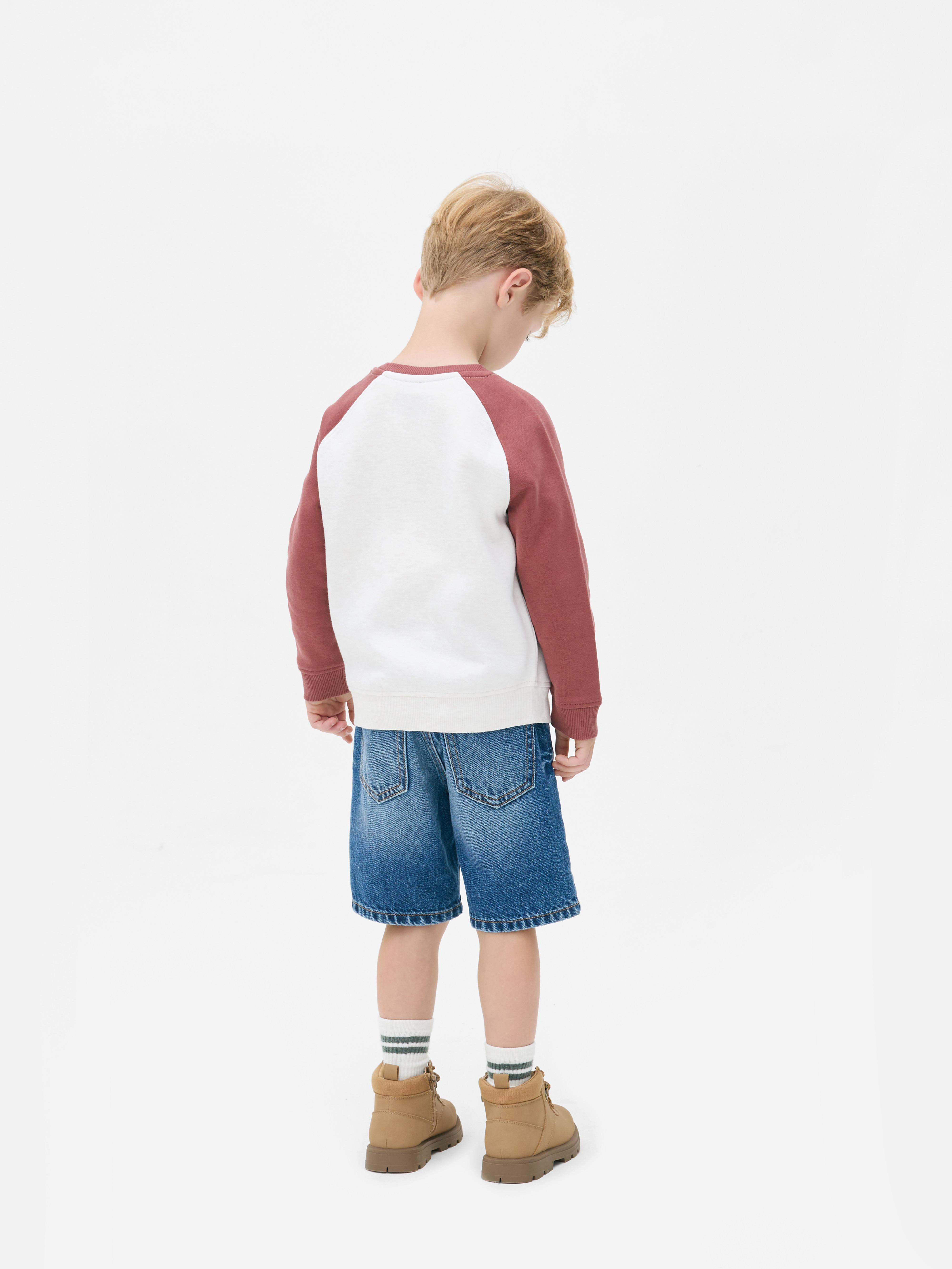 1.5-8yrs | Color Block Sweatshirt