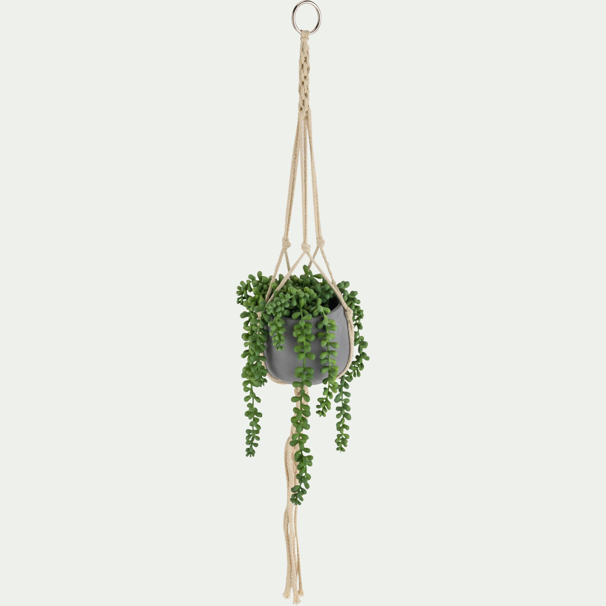 PELYE - Succulente suspendue artificielle - vert H73cm
