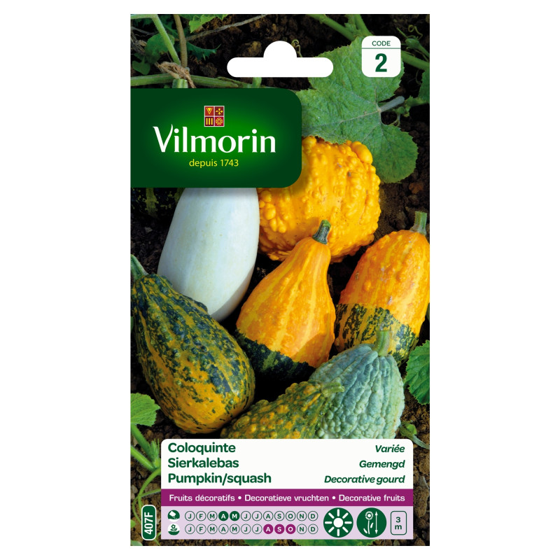 Semences de coloquinte variée VILMORIN