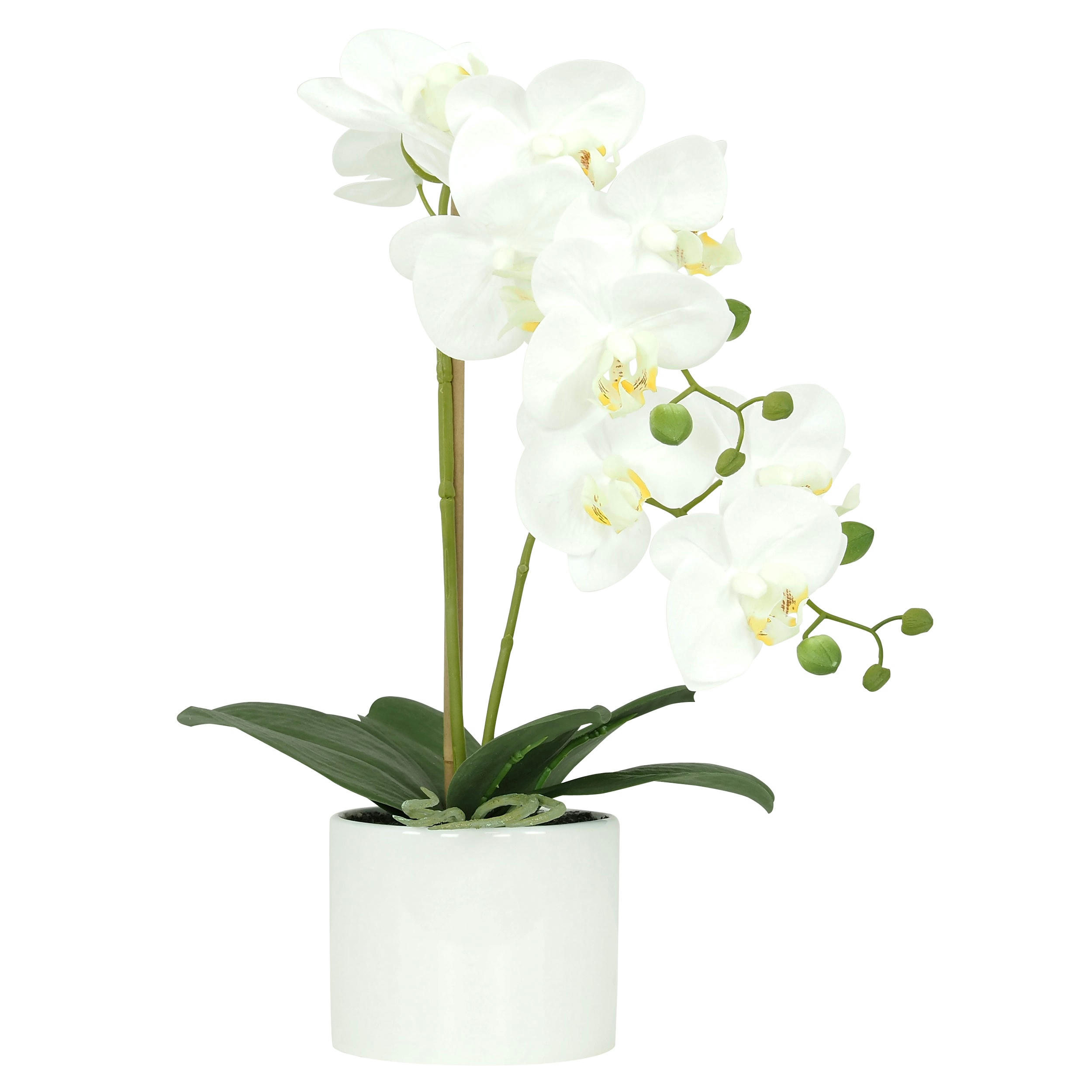 - Orchidées artificielles blanches 55cm