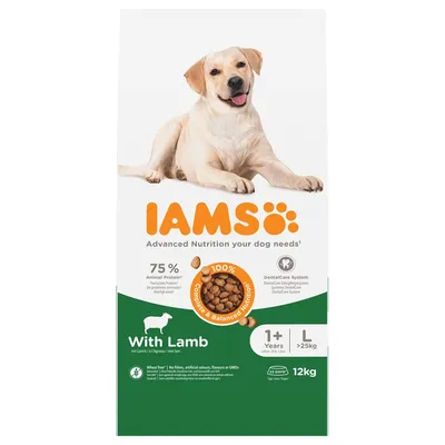 IAMS Advanced Nutrition Adult Large Dog - Lamb