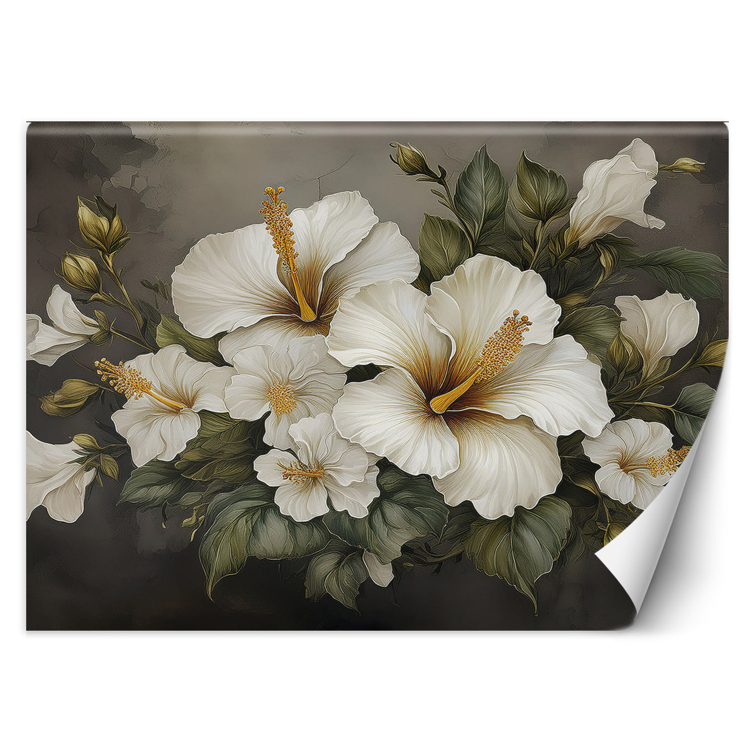 Feeby Fototapeta Biały kwiat hibiskusa
