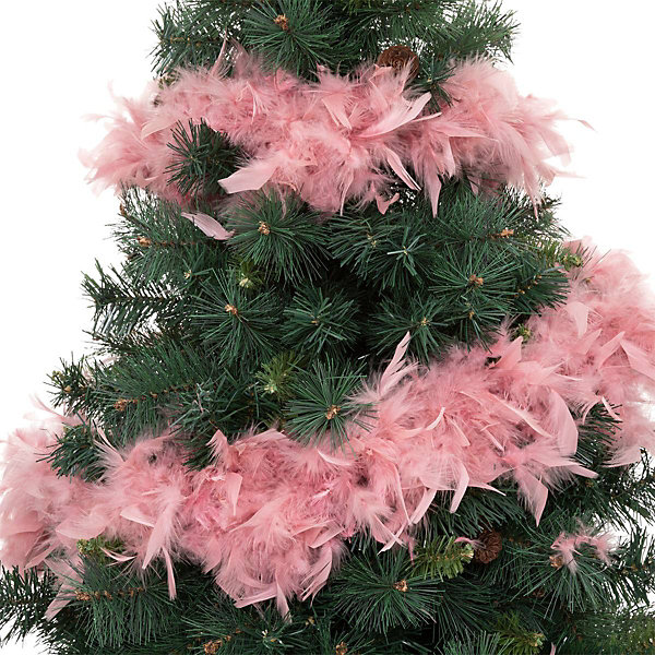 Boa de plumes 