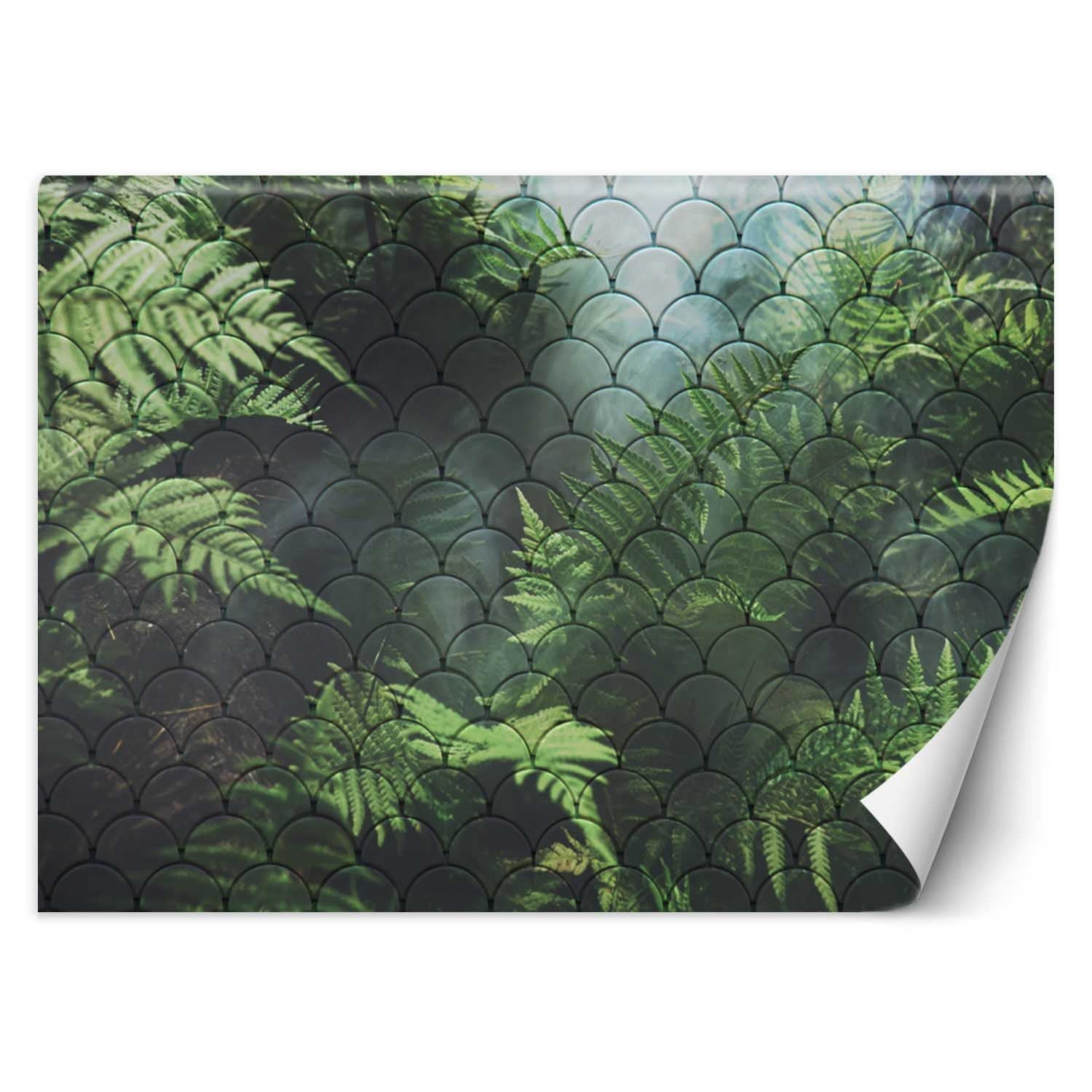 Feeby Fototapeta, Liście paproci we mgle 150x105