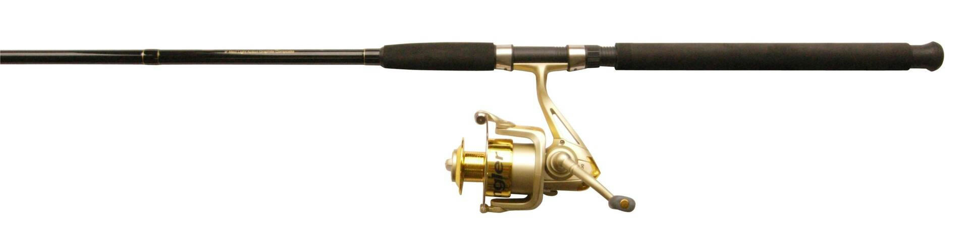 Combination Action Spinning Rod