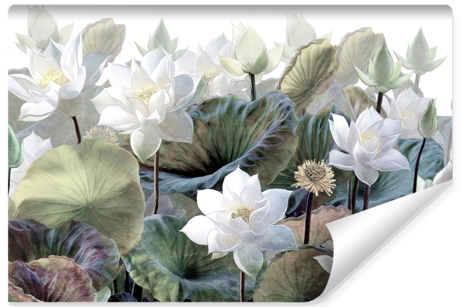Fototapeta Białe Kwiaty Lotosu 90x60cm
