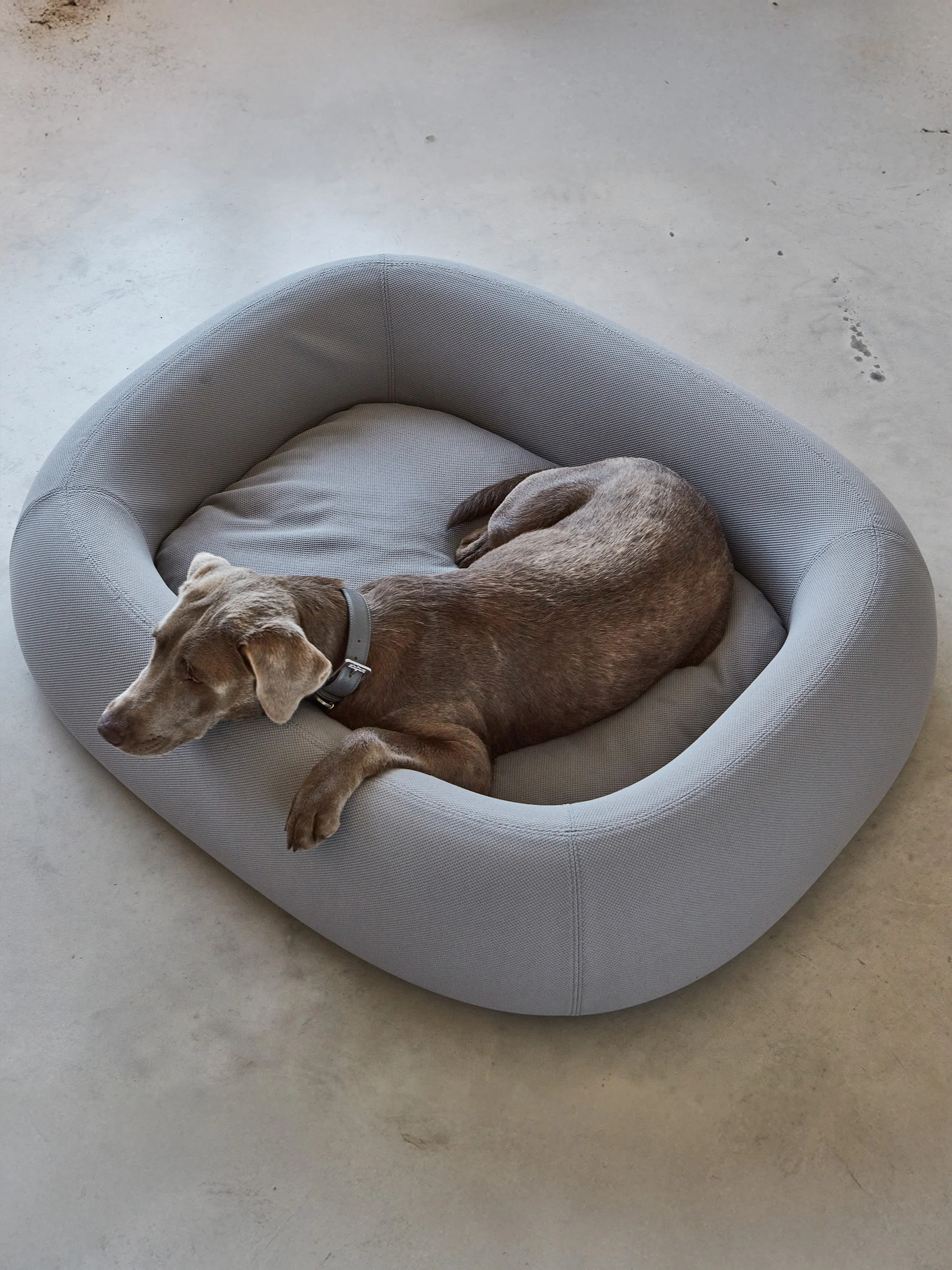 Hundebett Barca, in verschiedenen Größen