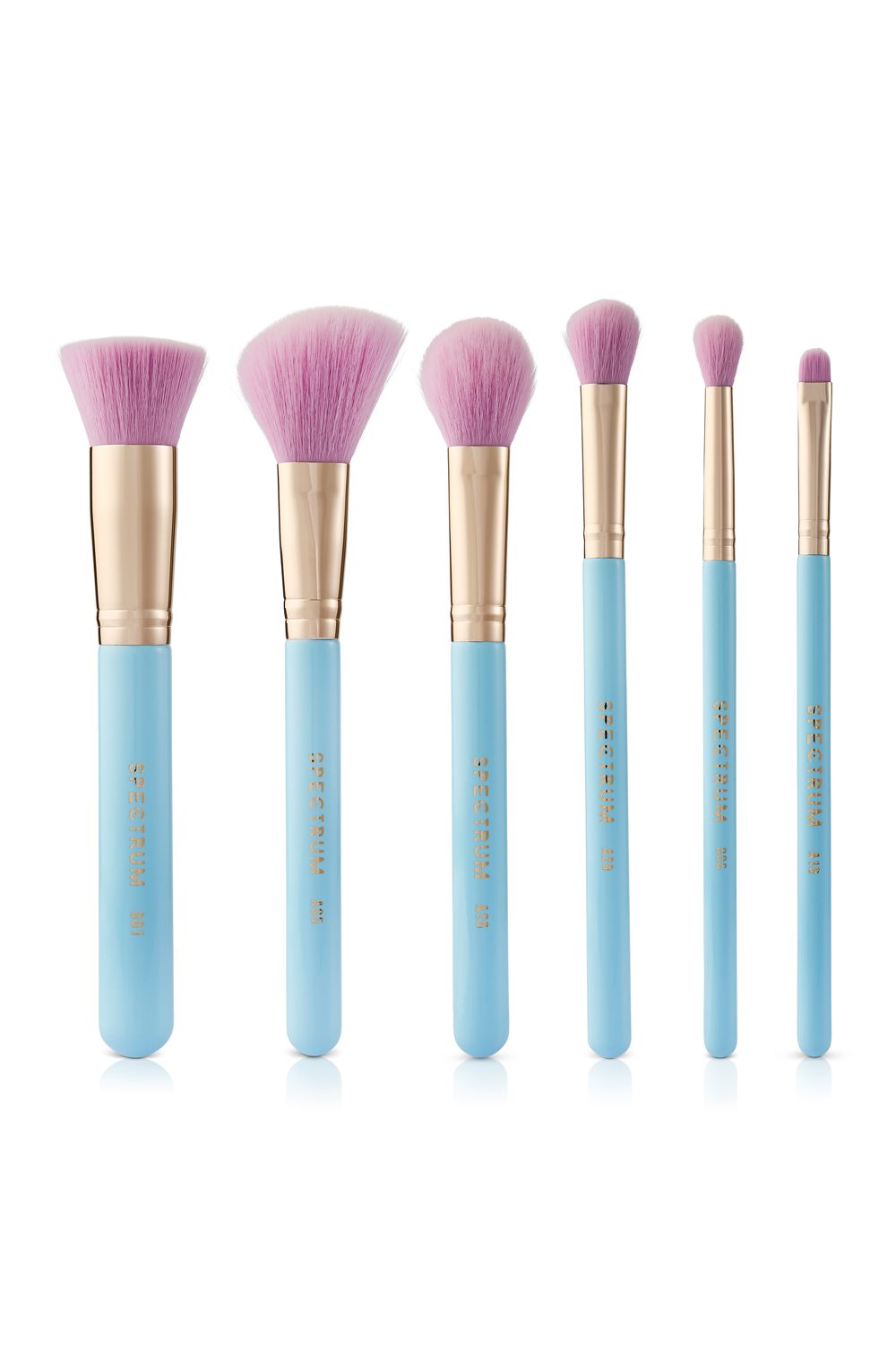 Spectrum Malibu 6 Piece Brush Set