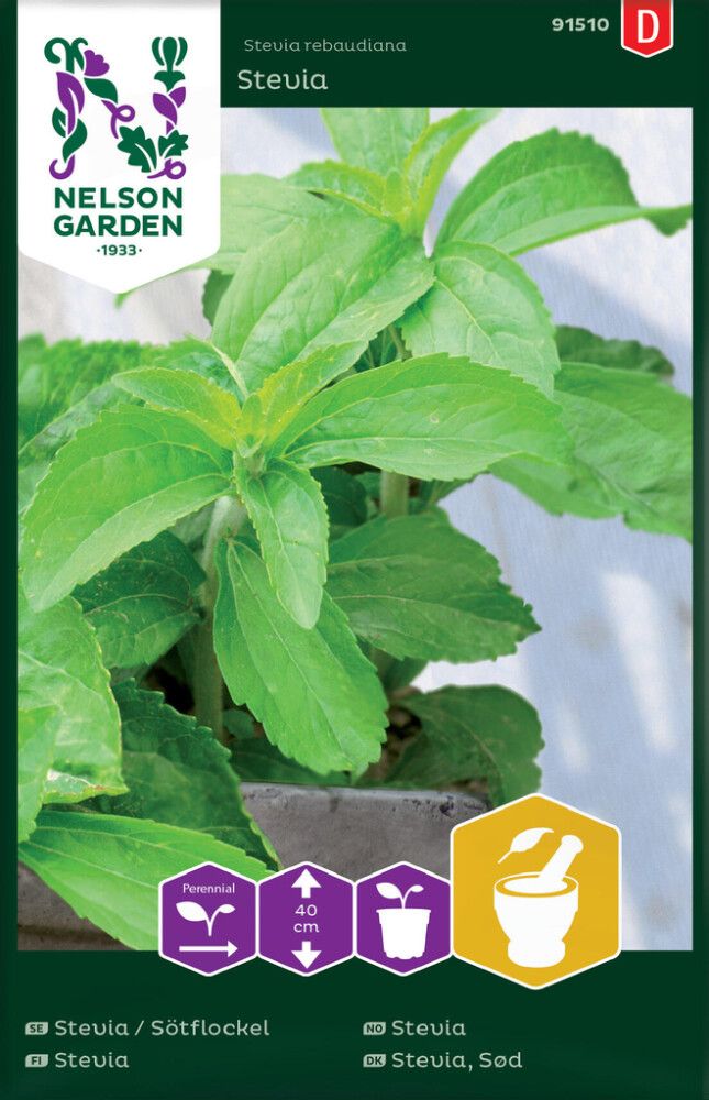 KRYDDERURTER NELSON GARDEN STEVIA