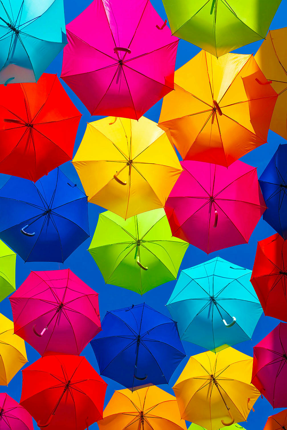 - Tableau ciel de parapluies imprimé sur toile 80x120cm