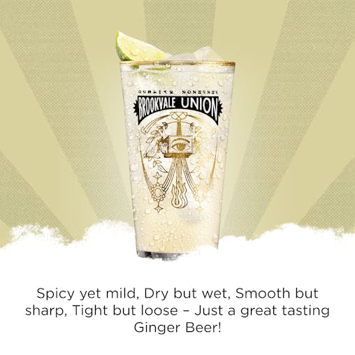 Brookvale Union Alcoholic Ginger Beer, Spicy & Smooth Finish, 4% ABV, 330mL (Case of 24 Cans)