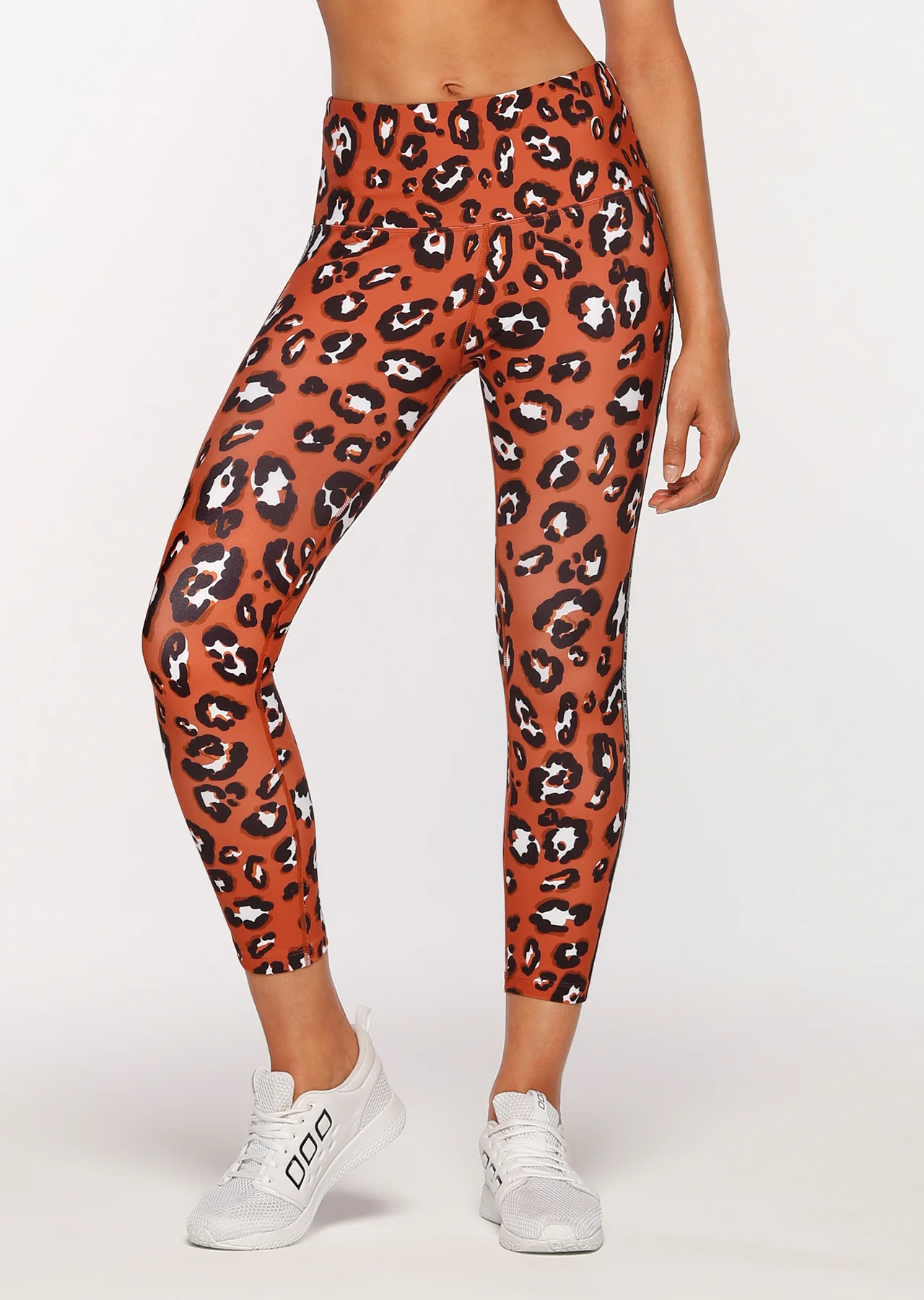 Wildcat A/B Tight
