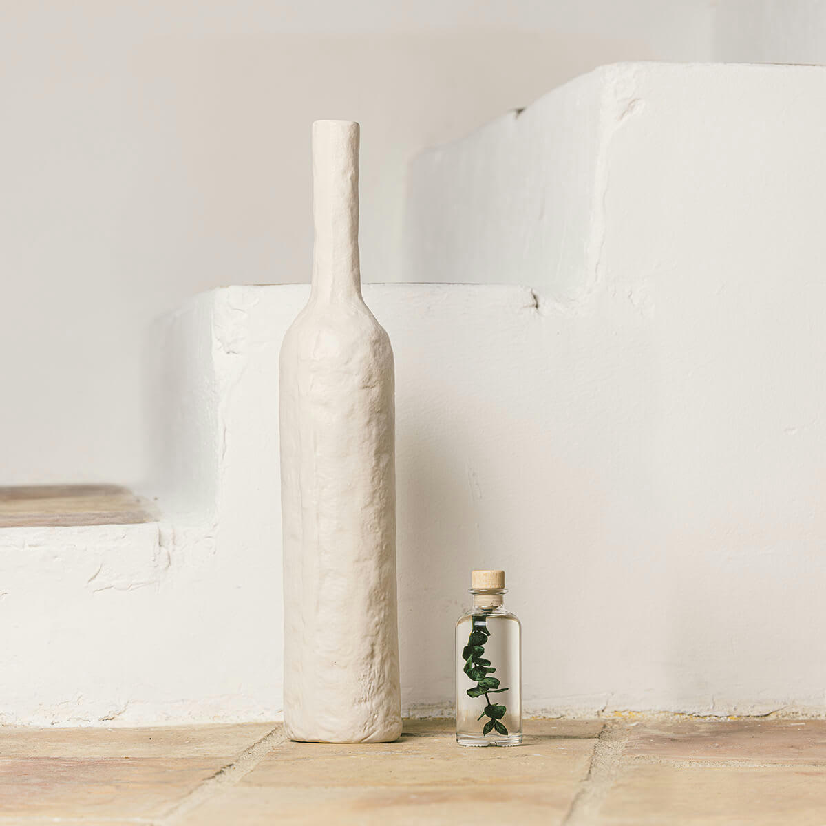 HERBARIUM DE THEOPHILE - Plante immergée Eucalyptus