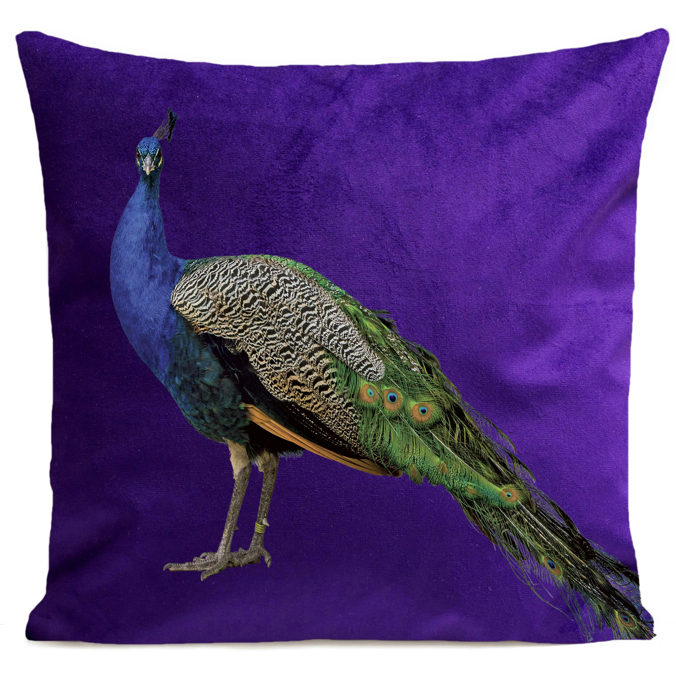 - Coussin campagne paon suédine violet 40x40cm