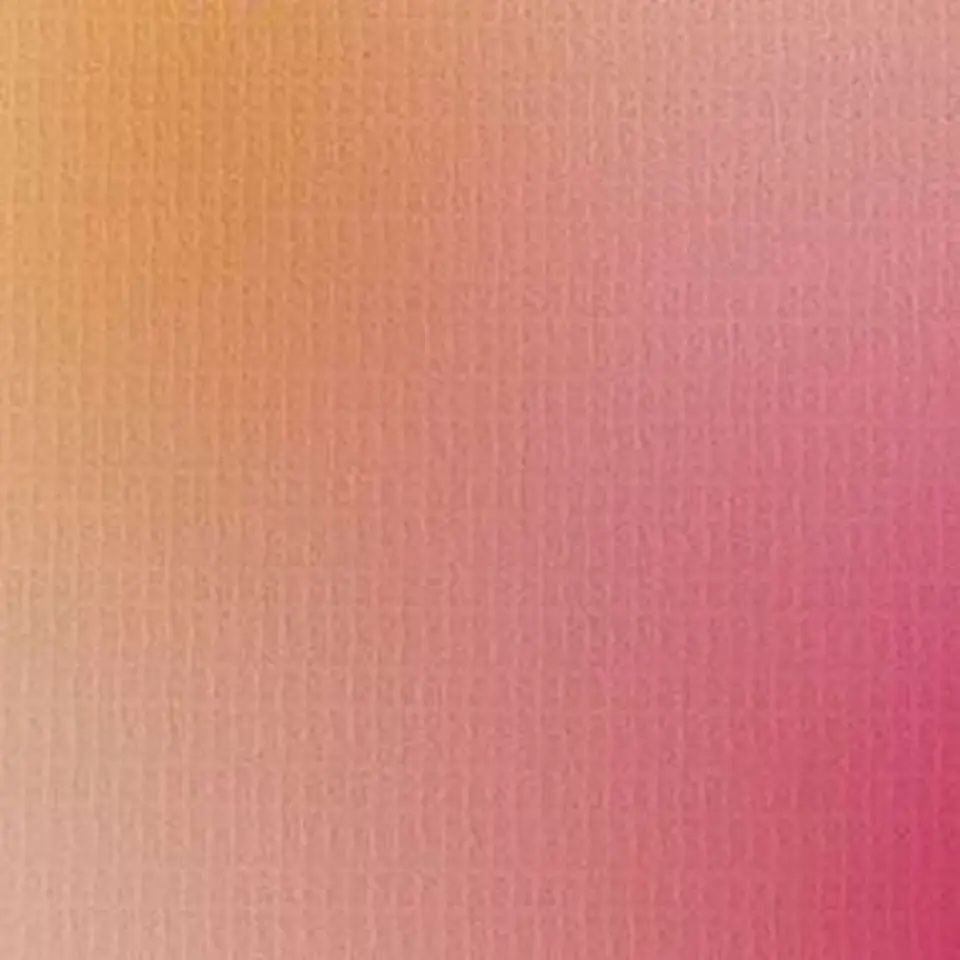 vidaXL - Scheidingswand - Multikleur - Hout