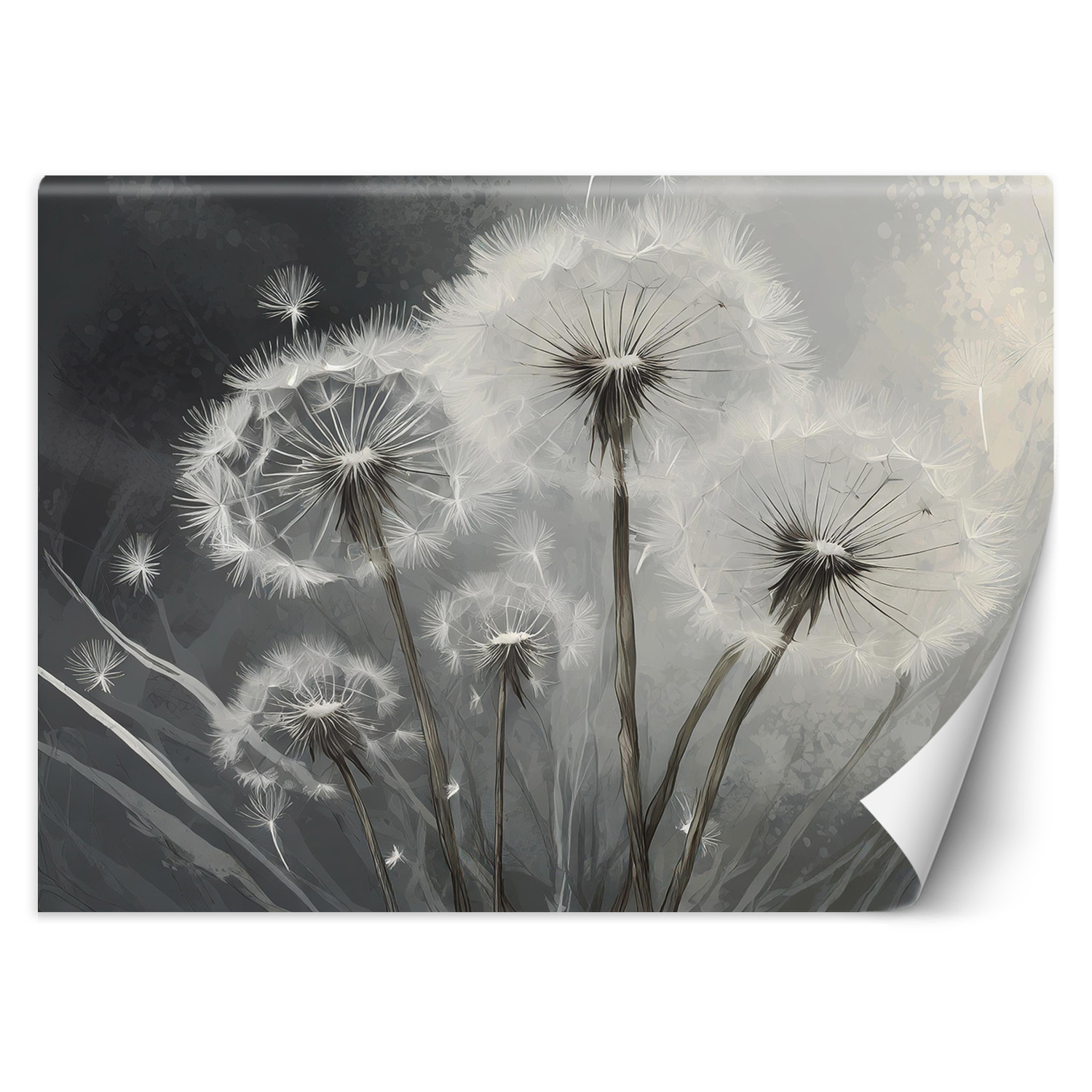 Feeby Fototapeta, Zbliżenie na dmuchawce 150x105