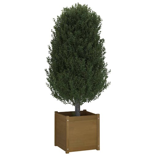 NNEVL Garden Planter Honey Brown 50x50x50 cm Solid Pinewood