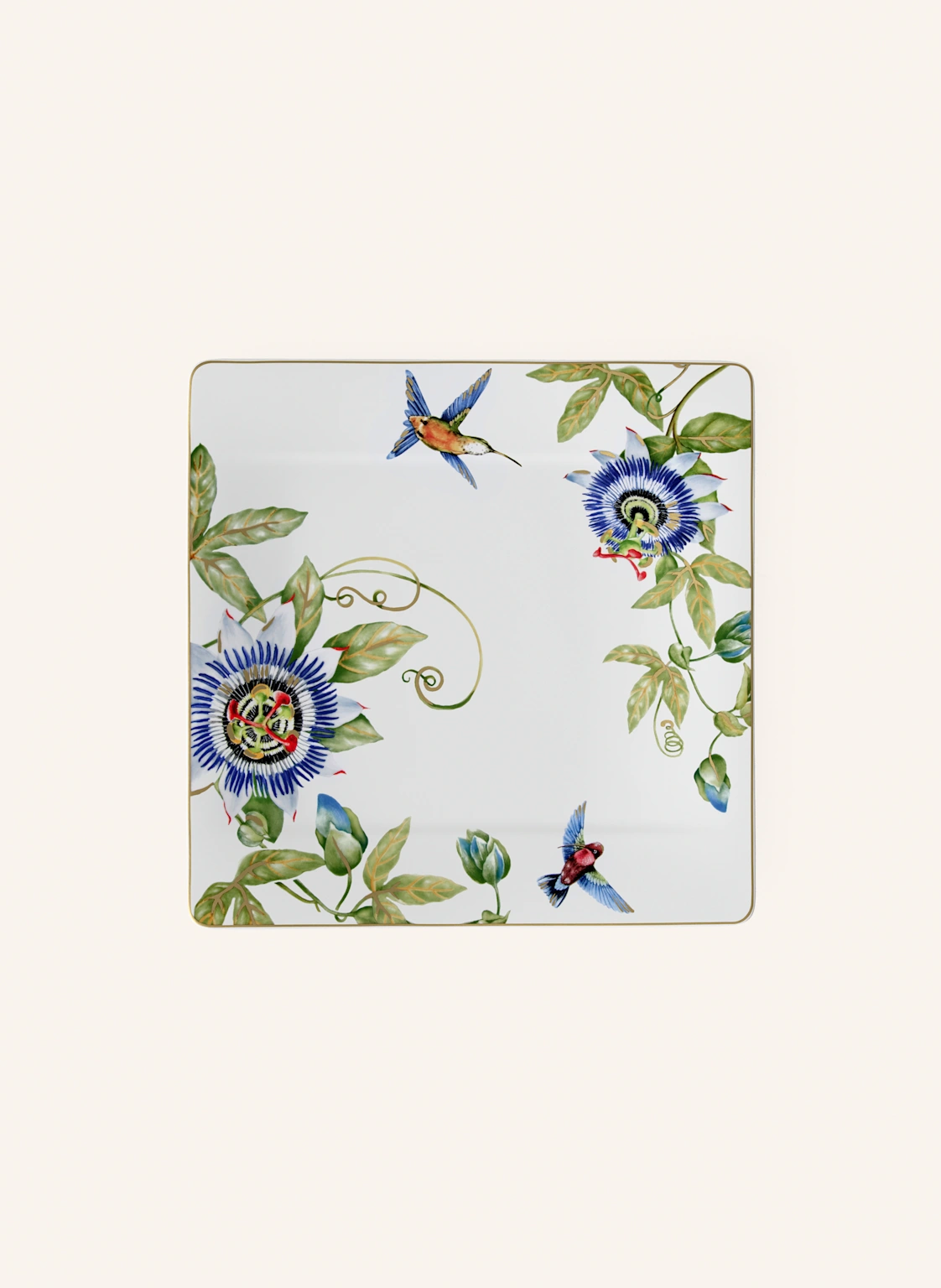Villeroy & Boch Gourmetteller AMAZONIA