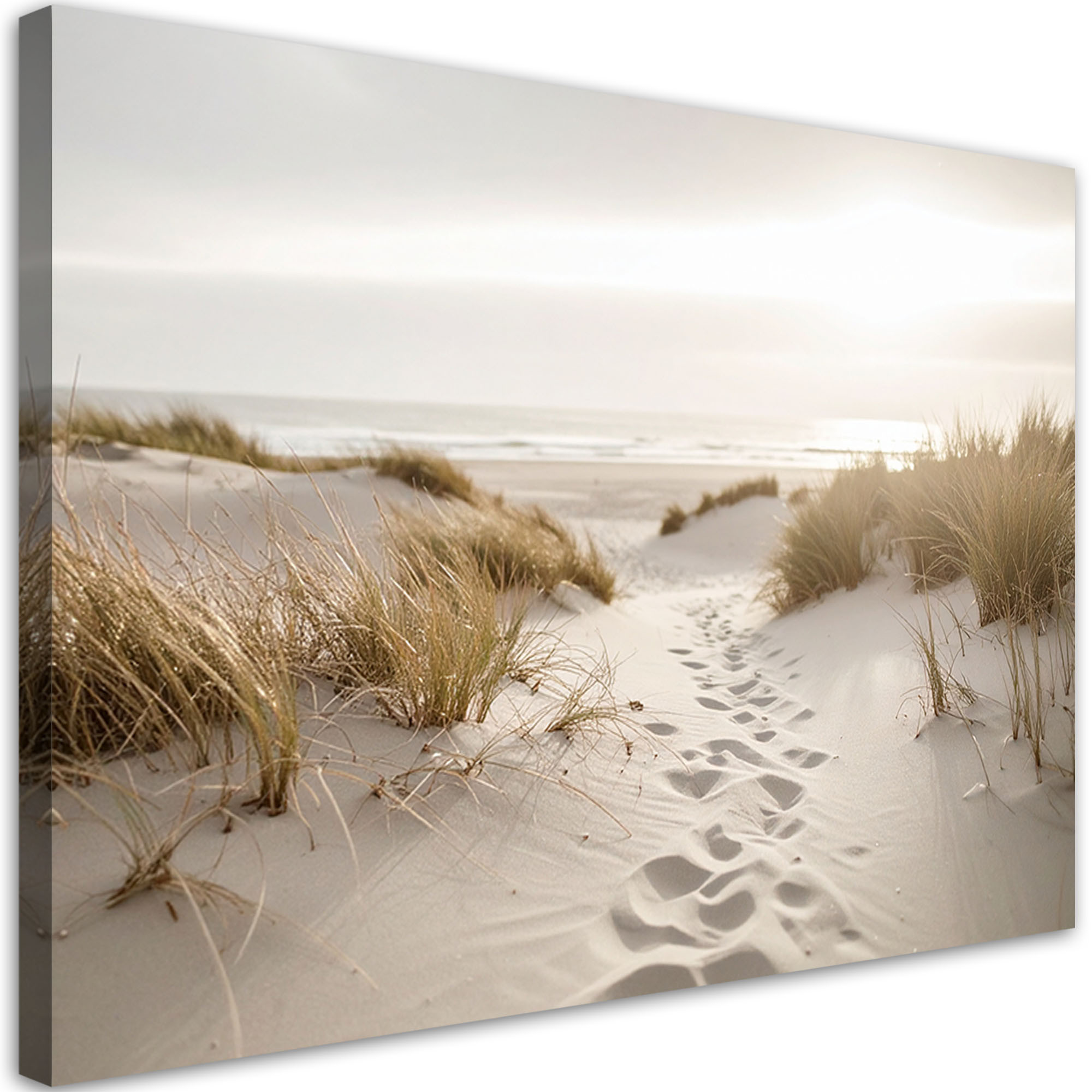 Obraz do salonu sypialni biura, Plaża morze rośliny wydmy natura 30x20