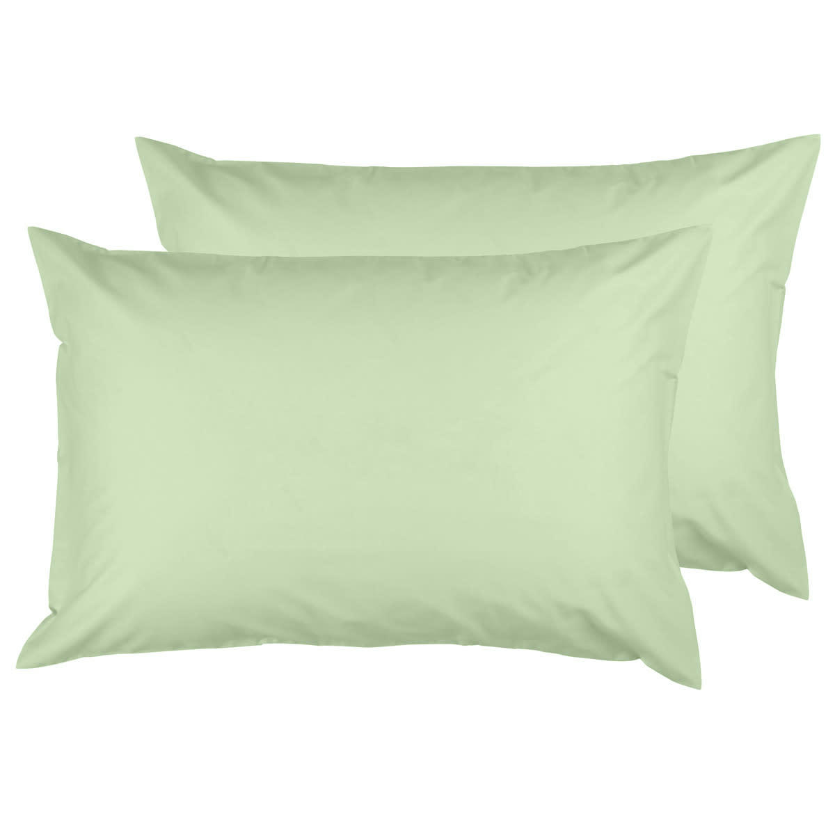 STUDIO - Lot de 2 taies d'oreiller en coton  celadon 50x70 cm