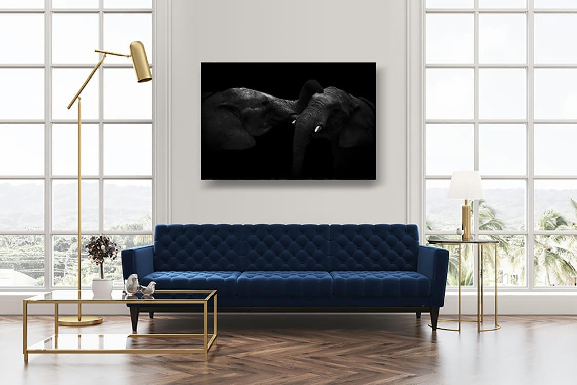 MOMENT DE TENDRESSE - Photographie d'art de Guillaume Mordacq 30x45 cm sur alu