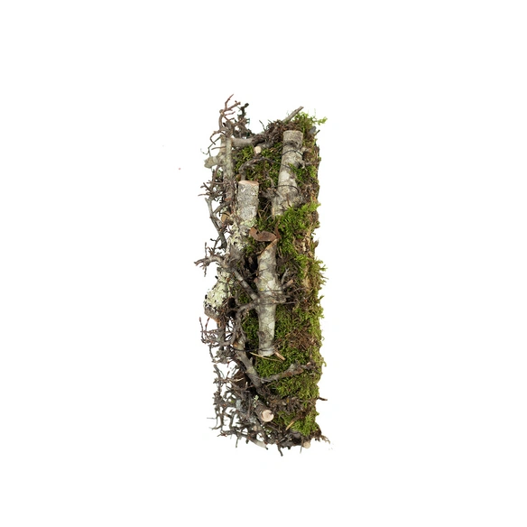 Tannenzweige, Naturkranz Bonsai, 30 cm