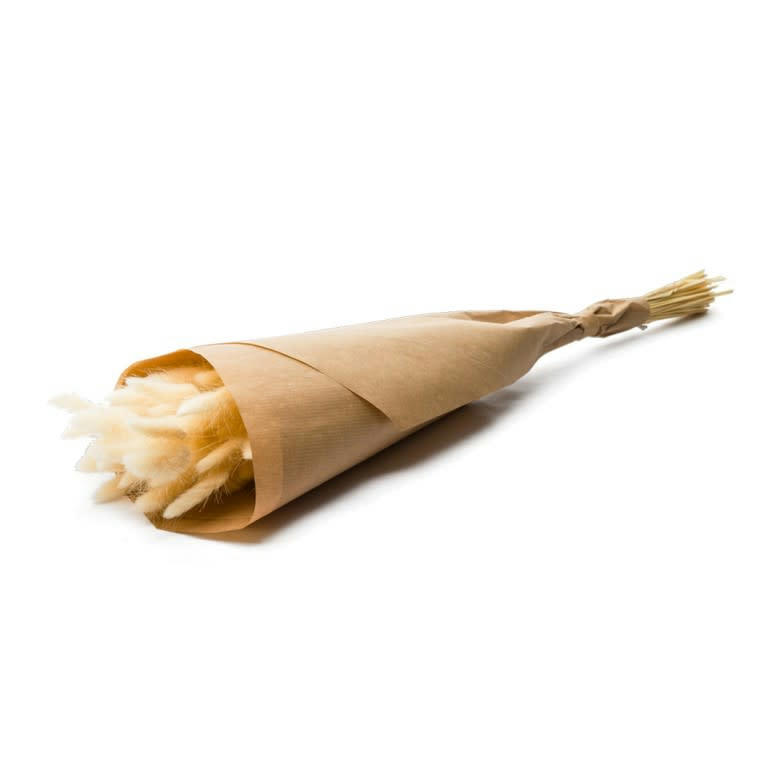 BFS - Botte Lagurus Ovatus Bleached White