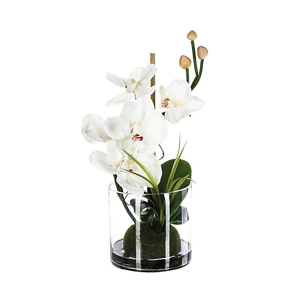Composition d'orchidées artificielles - vase en verre - H37 cm - Blanc- Atmosphera