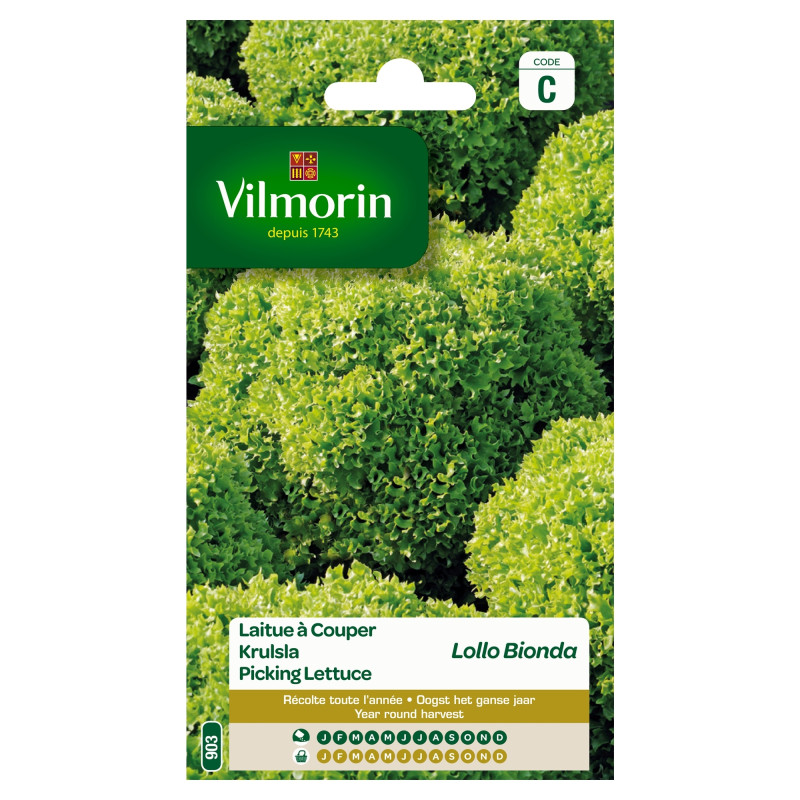 Semences de laitue à couper Lollo Bionda VILMORIN