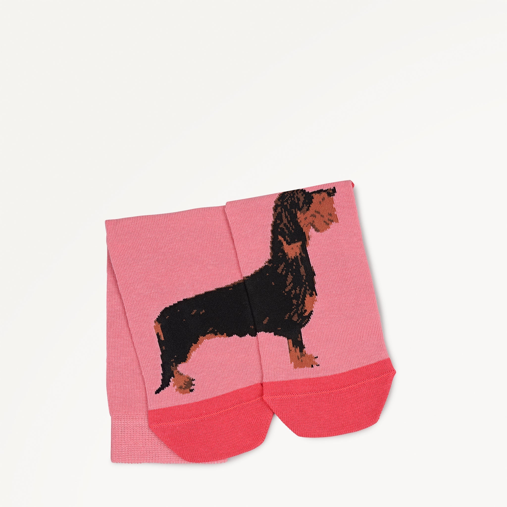 Radley & Friends - 1 Pack Socks