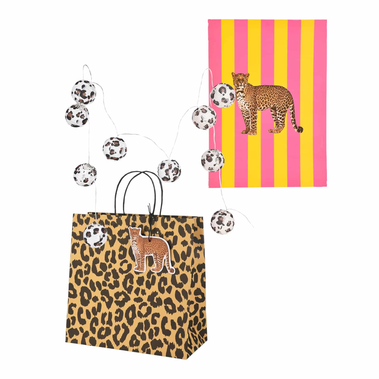 Geschenk-Set Leo Bunt, 3 -tlg.