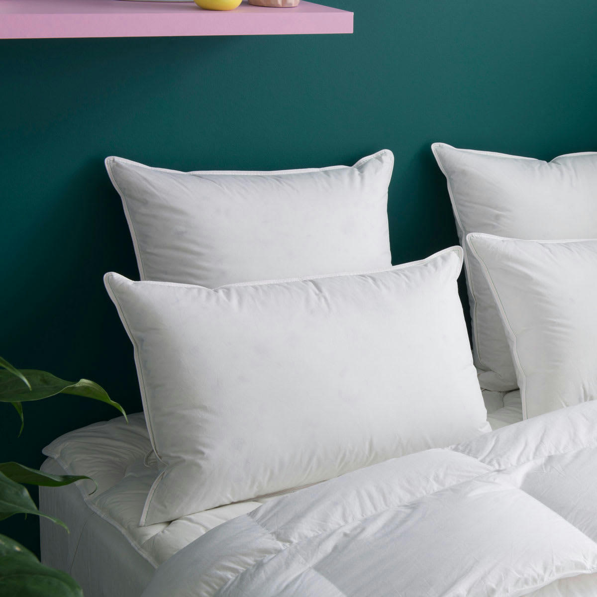 LÉON - Oreiller MOELLEUX 80% Duvet - Coton  50x75 cm - Wake Me Green