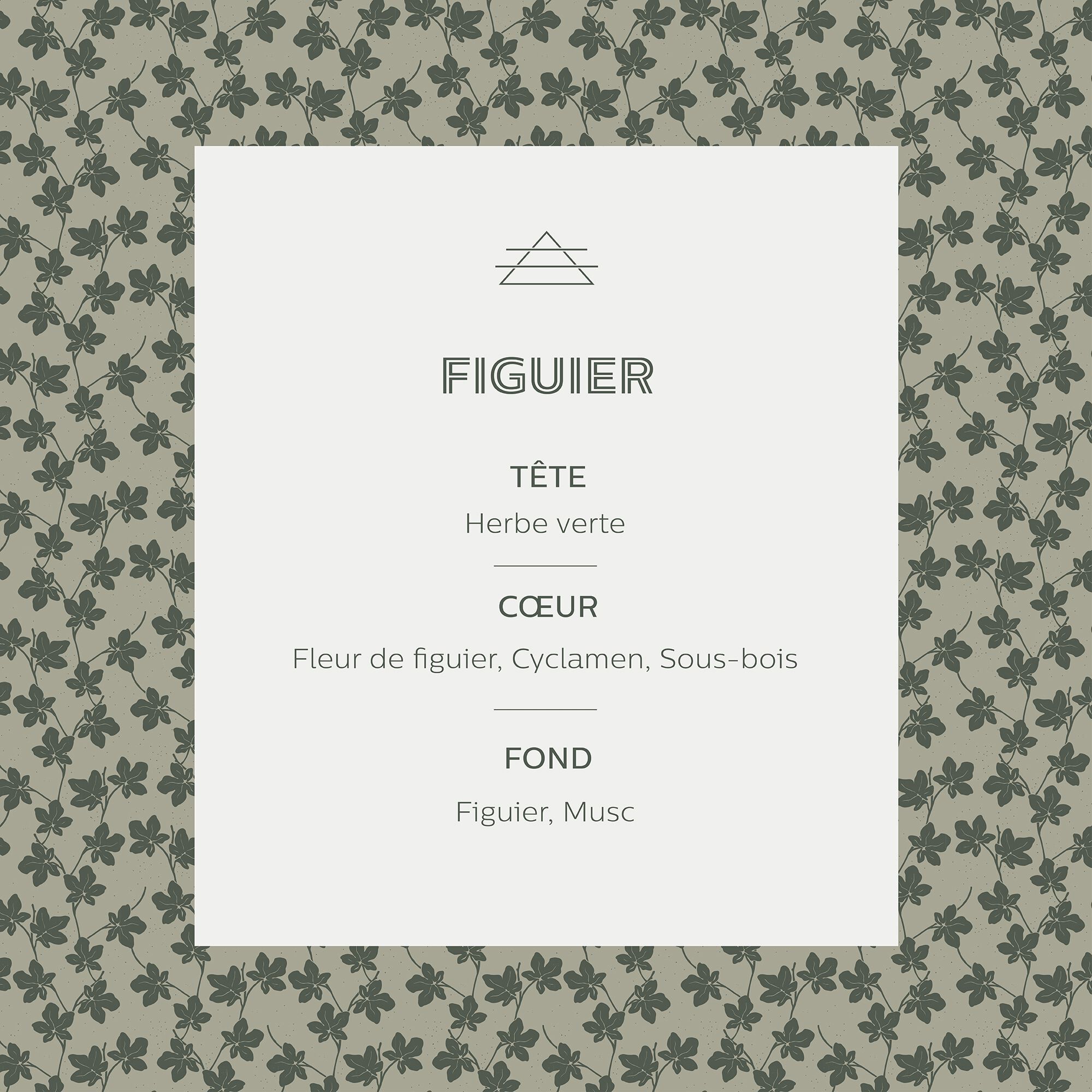 SIGNATURE - Diffuseur de parfum senteur Figuier 100ml