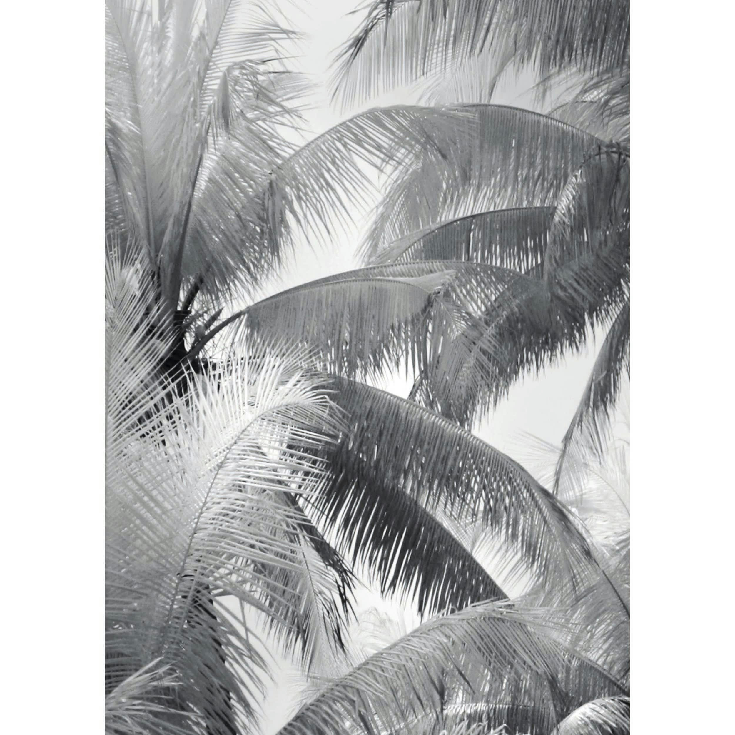HERBI - Poster en papier noir et blanc 50x70 cm