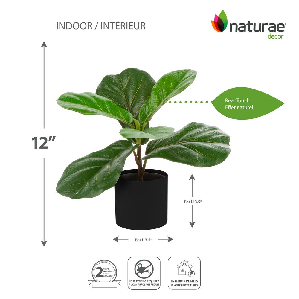 Naturae Décor Artificial Fiddle Leaf Indoor Plant in Black Pot, 12-in