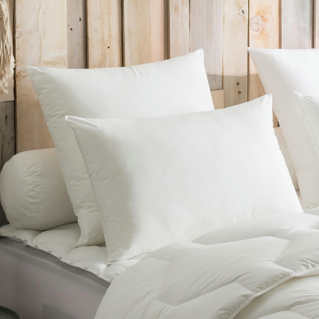 - Oreiller Coton Air Cool - MEDIUM 65x65 cm - DODO