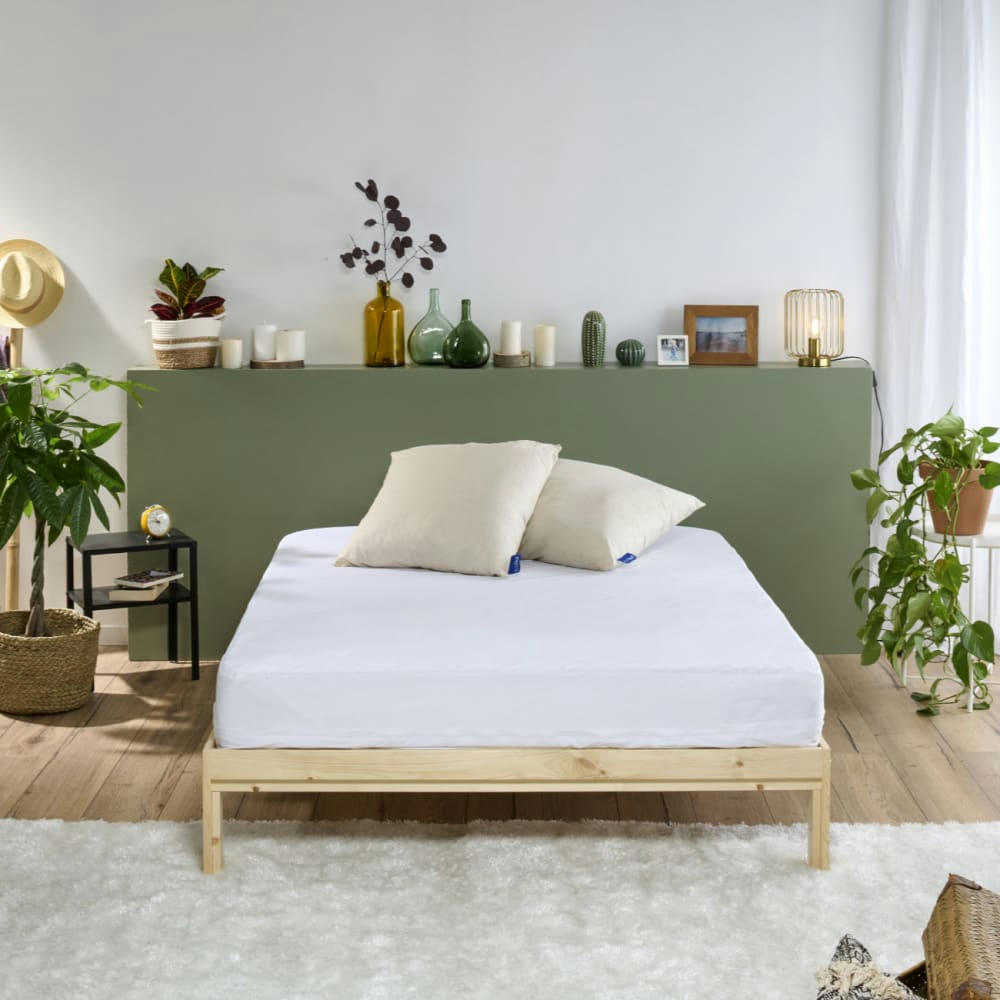 COTON LIN - Oreiller Coton Lin 60x60cm