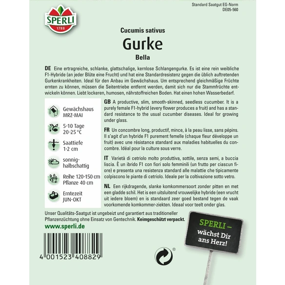 Salatgurke »Bella«, bitterfreie, reinweibliche, kernlose Sorte