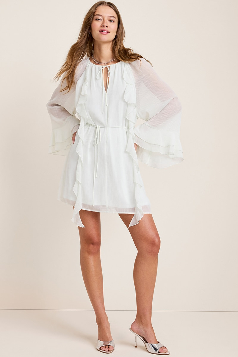 Jacklyn Ruffled Chiffon Mini Dress