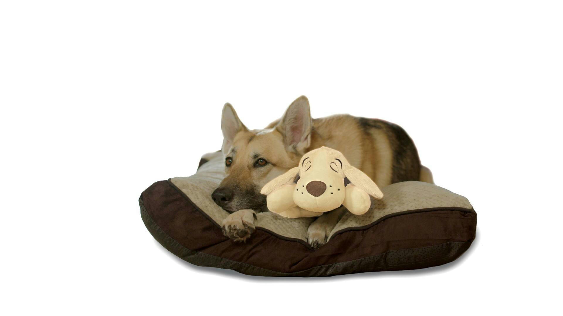 As Seen On TV Huggie Pup Heartbeat Stuffed Toy for Dogs - Dog Anxiety Aid by Pets Know Best