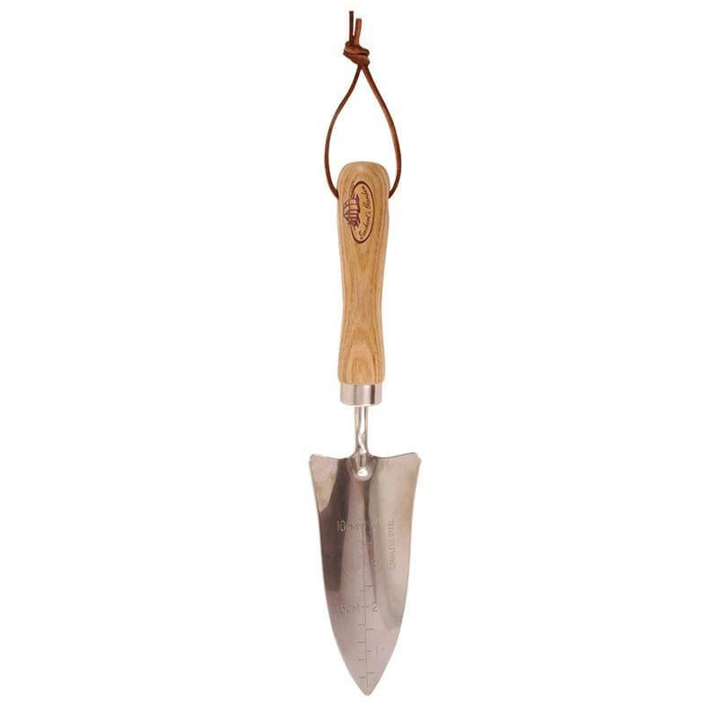 - Pelle transplantoir Acier inoxydable