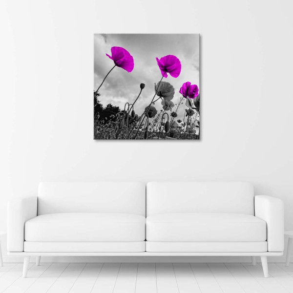 Feeby Obraz na płótnie Fioletowe kwiaty maku 30x30