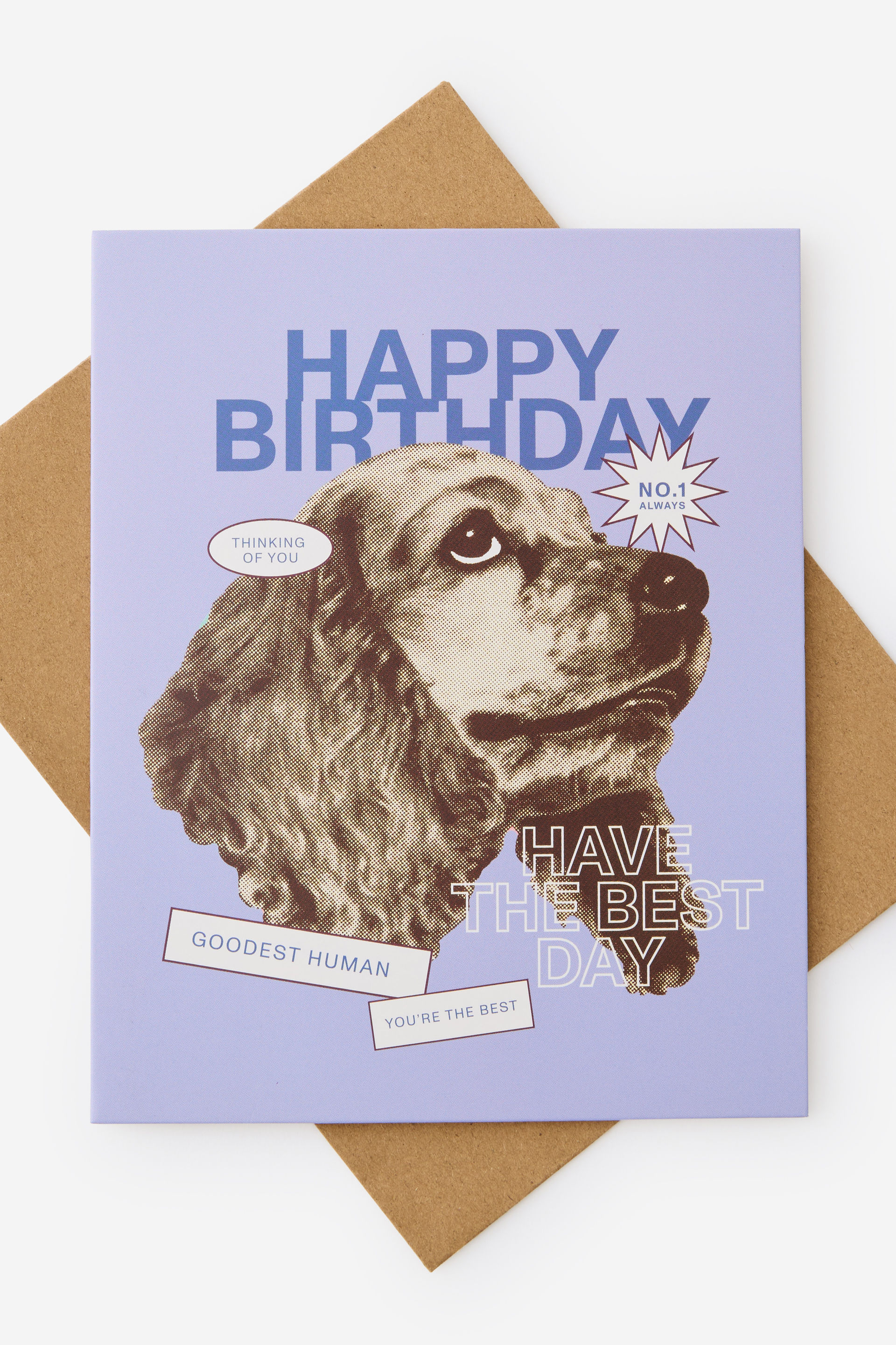 Nice Birthday Card
