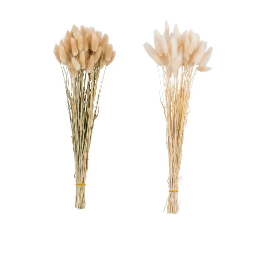 Fleurs Artificielles^CASA LAGURUS Lagure Ovale Brun
