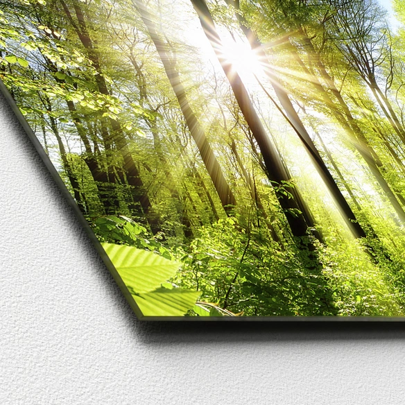Glasbild »Towards The Sun«, mehrfarbig, Digitaldruck