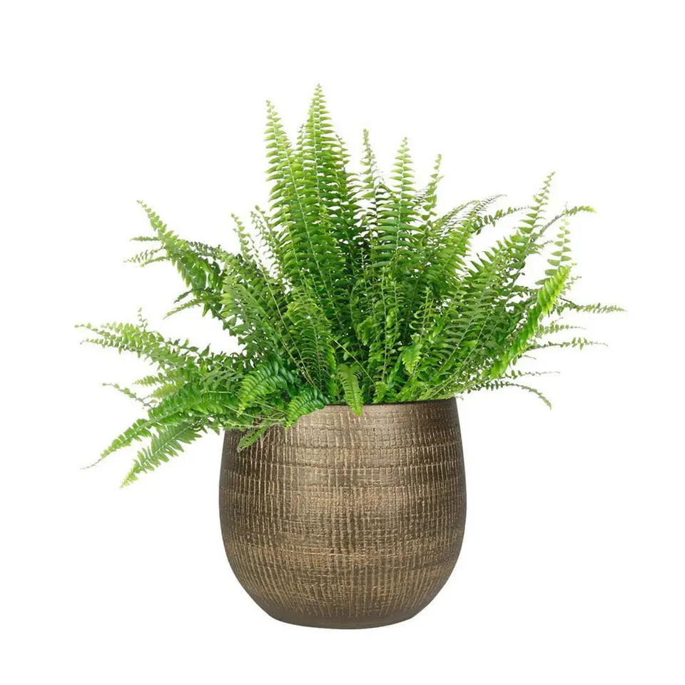 Ter Steege Plantenpot - metal look - goudkleurig - 26 x 25 cm