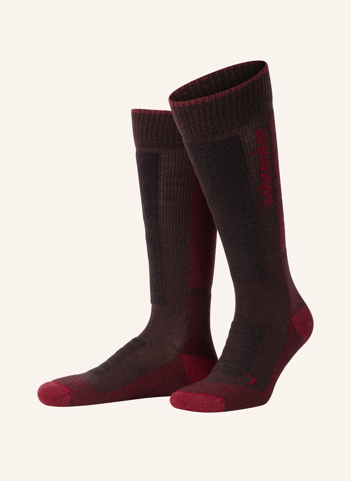 icebreaker Skisocken MERINO BLEND SKI